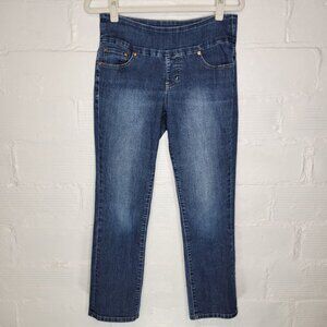 Jag Jeans Women's Size 8P Petite Jeans High Rise Straight Leg Pull On